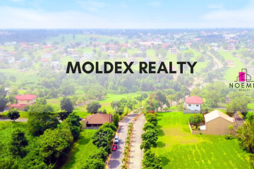 Moldex Realty_Cover