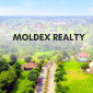 Moldex Realty_Cover