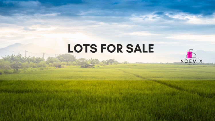 Lots for sale_Cover