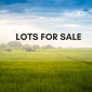 Lots for sale_Cover