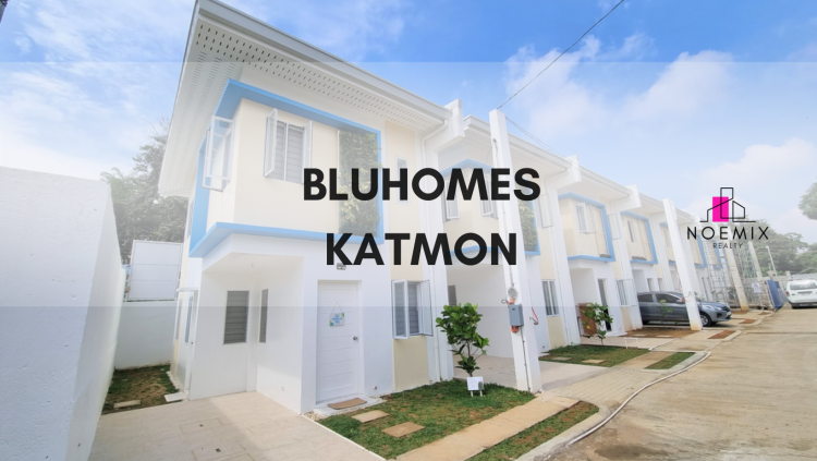BluHomes_Cover